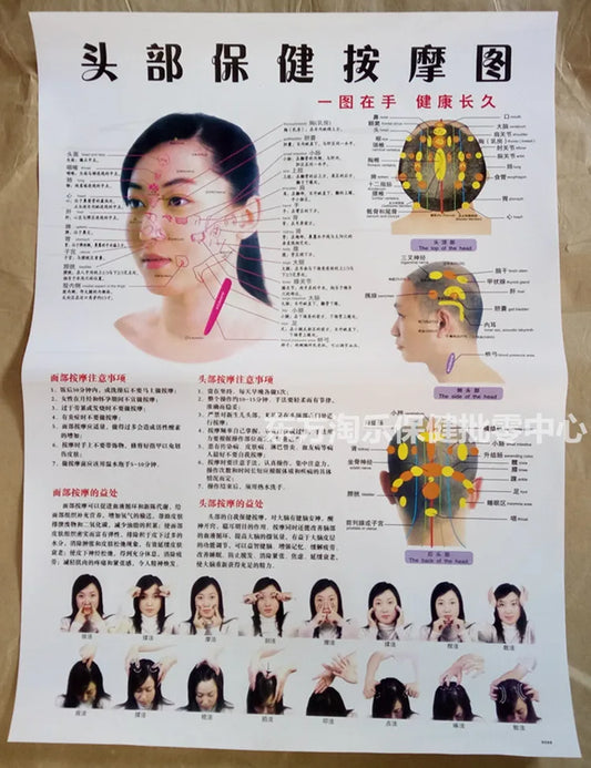 Chinese-English acupuncture/Meridian points chart: Body front /side/ back; 7 pcs set in color