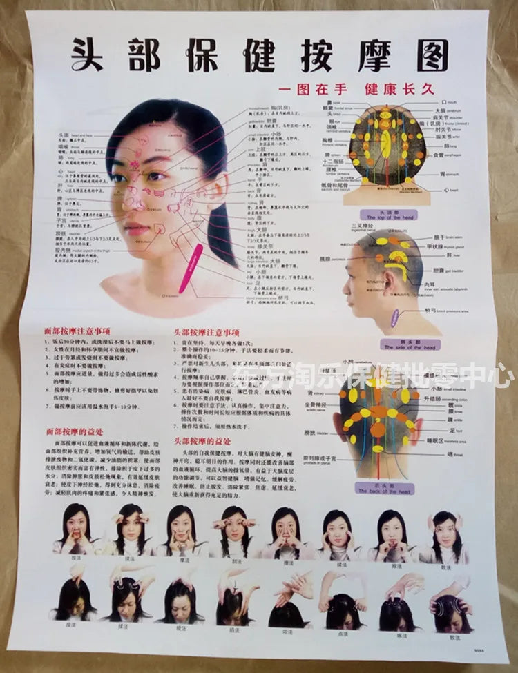 Chinese-English acupuncture/Meridian points chart:  Body front /side/ back; 7 pcs set in color
