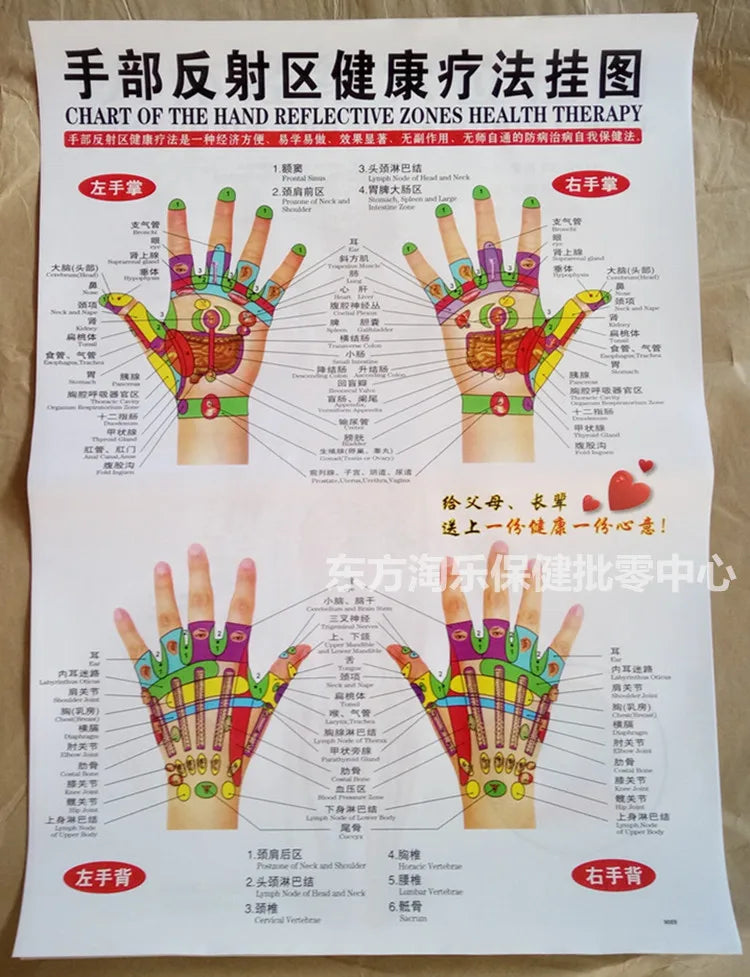 Chinese-English acupuncture/Meridian points chart:  Body front /side/ back; 7 pcs set in color