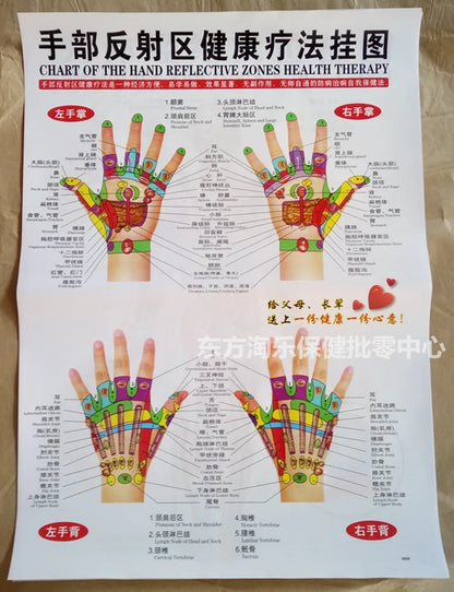 Chinese-English acupuncture/Meridian points chart:  Body front /side/ back; 7 pcs set in color